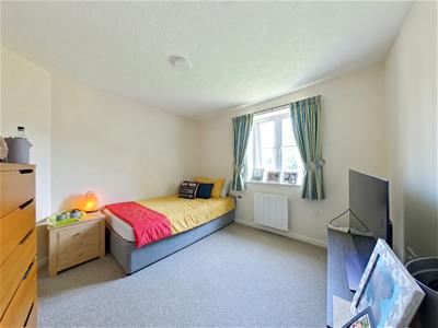 Picture 7